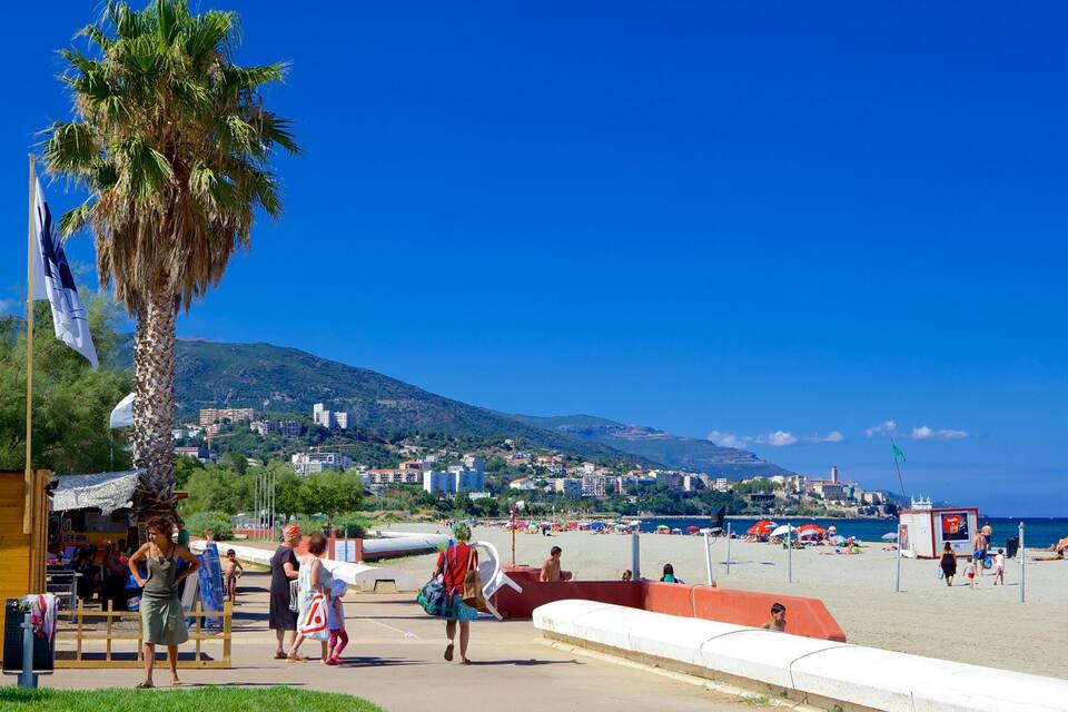 Une plage avec des gens, des palmiers et des bâtiments en arrière-plan.