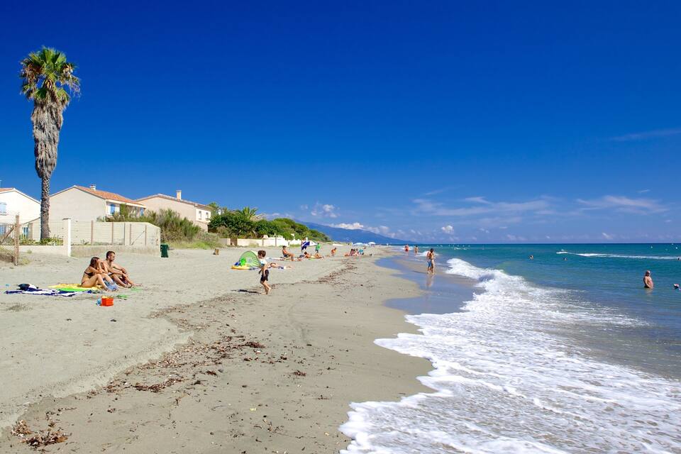 Une plage où des gens se prélassent au soleil, un palmier et des maisons en arrière-plan.