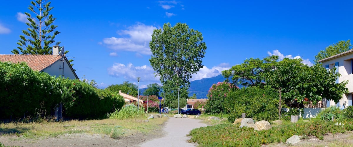 A rural road with houses, a large tree, and a mountain in the background.