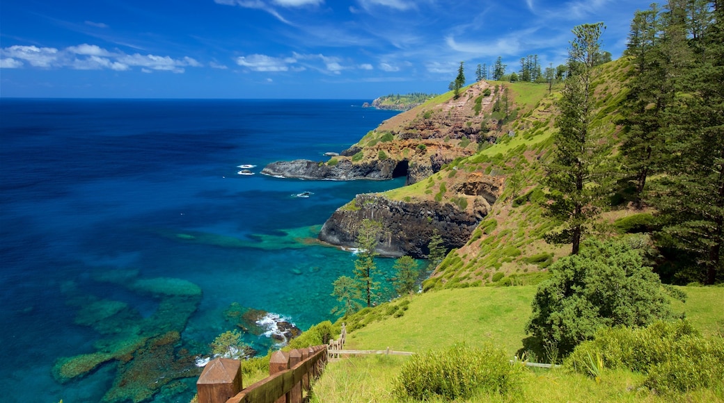 Norfolk Island nasjonalpark som viser kyst og klippelandskap