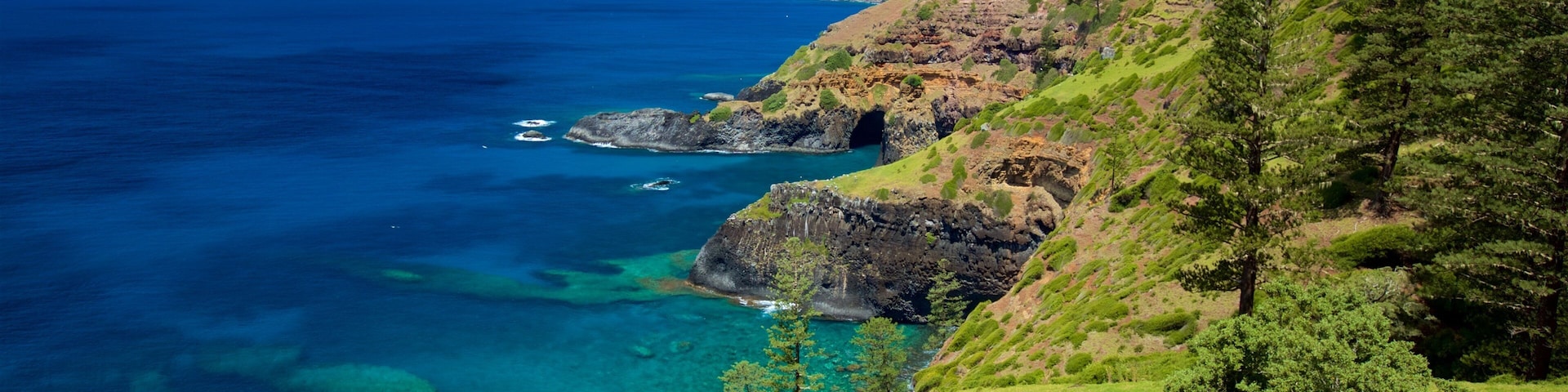 Norfolk Island National Park which includes rocky coastline and general coastal views