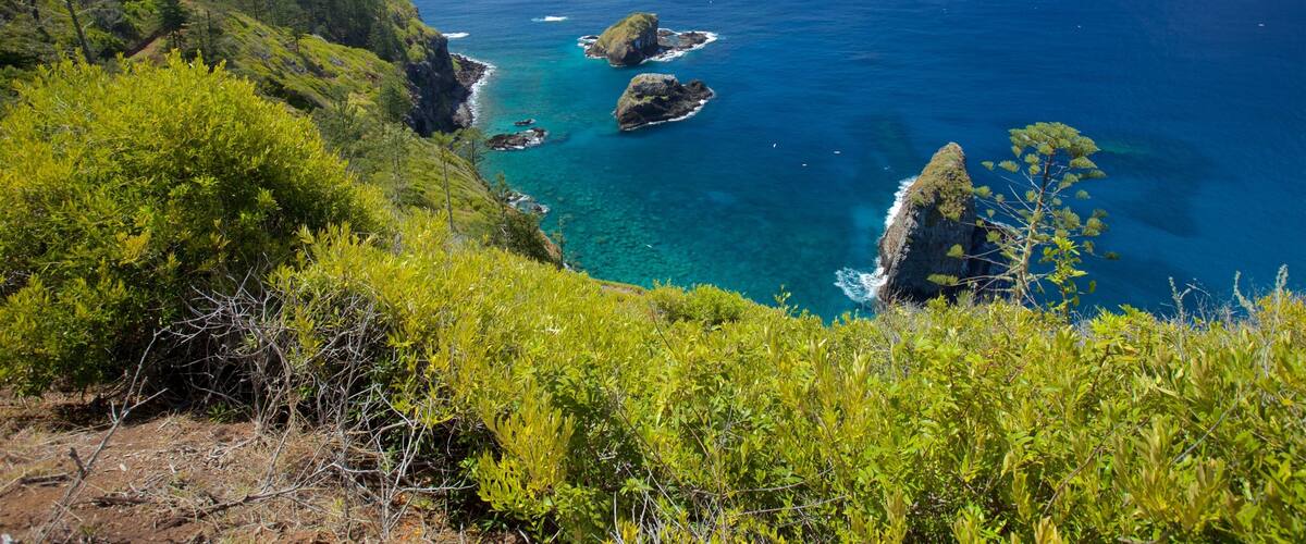 Norfolk Island National Park which includes general coastal views and rocky coastline