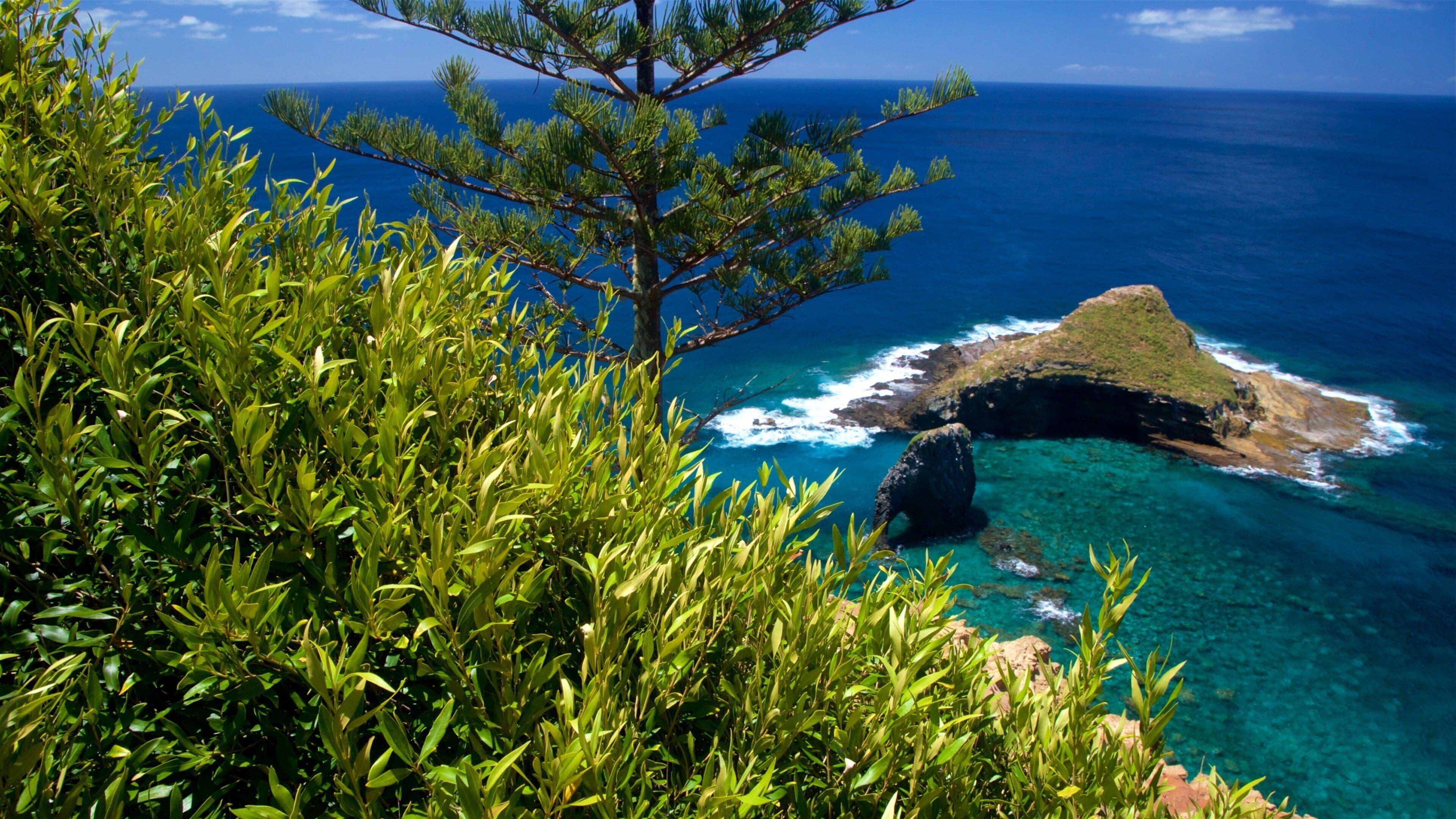 Norfolk Island nasjonalpark som viser øylandskap og kyst