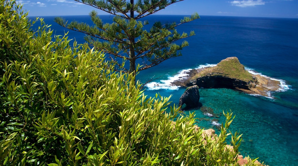 Norfolk Island nasjonalpark som viser øylandskap og kyst