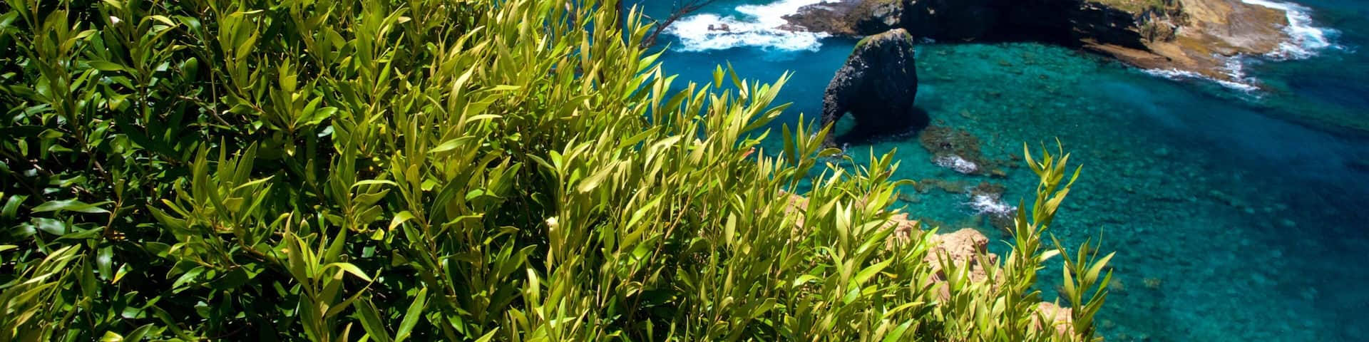 Norfolk Island National Park which includes general coastal views and island images