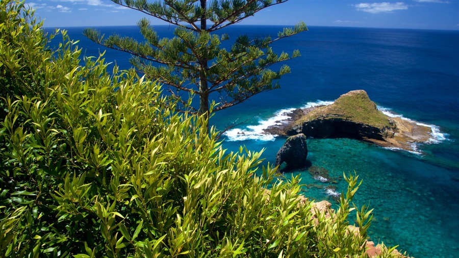 Norfolk Island National Park ofreciendo imágenes de una isla y vistas de una costa