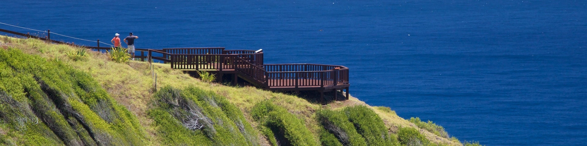 Norfolk Island National Park showing views and general coastal views
