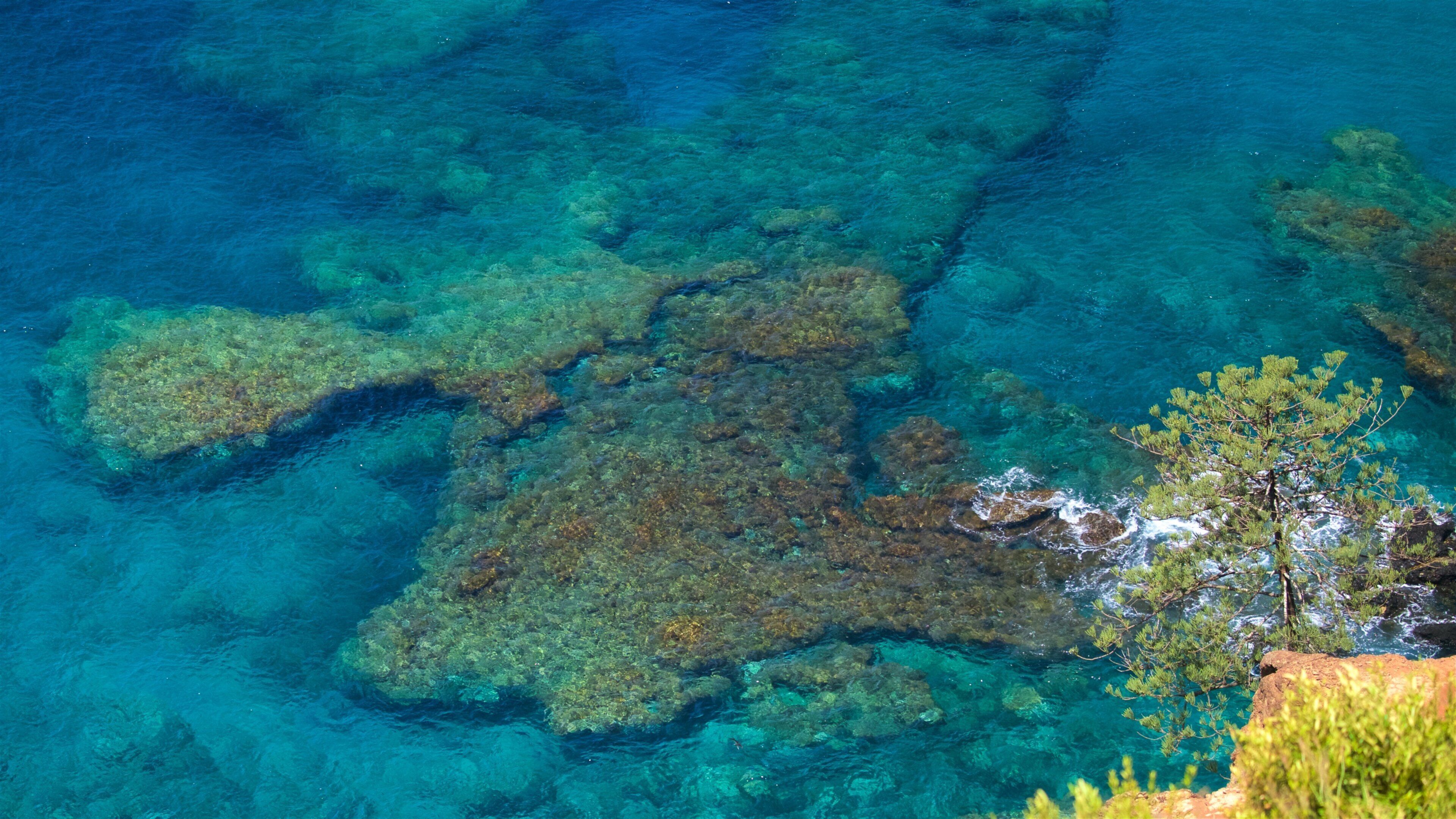 Norfolk Island National Park showing colorful reefs and general coastal views