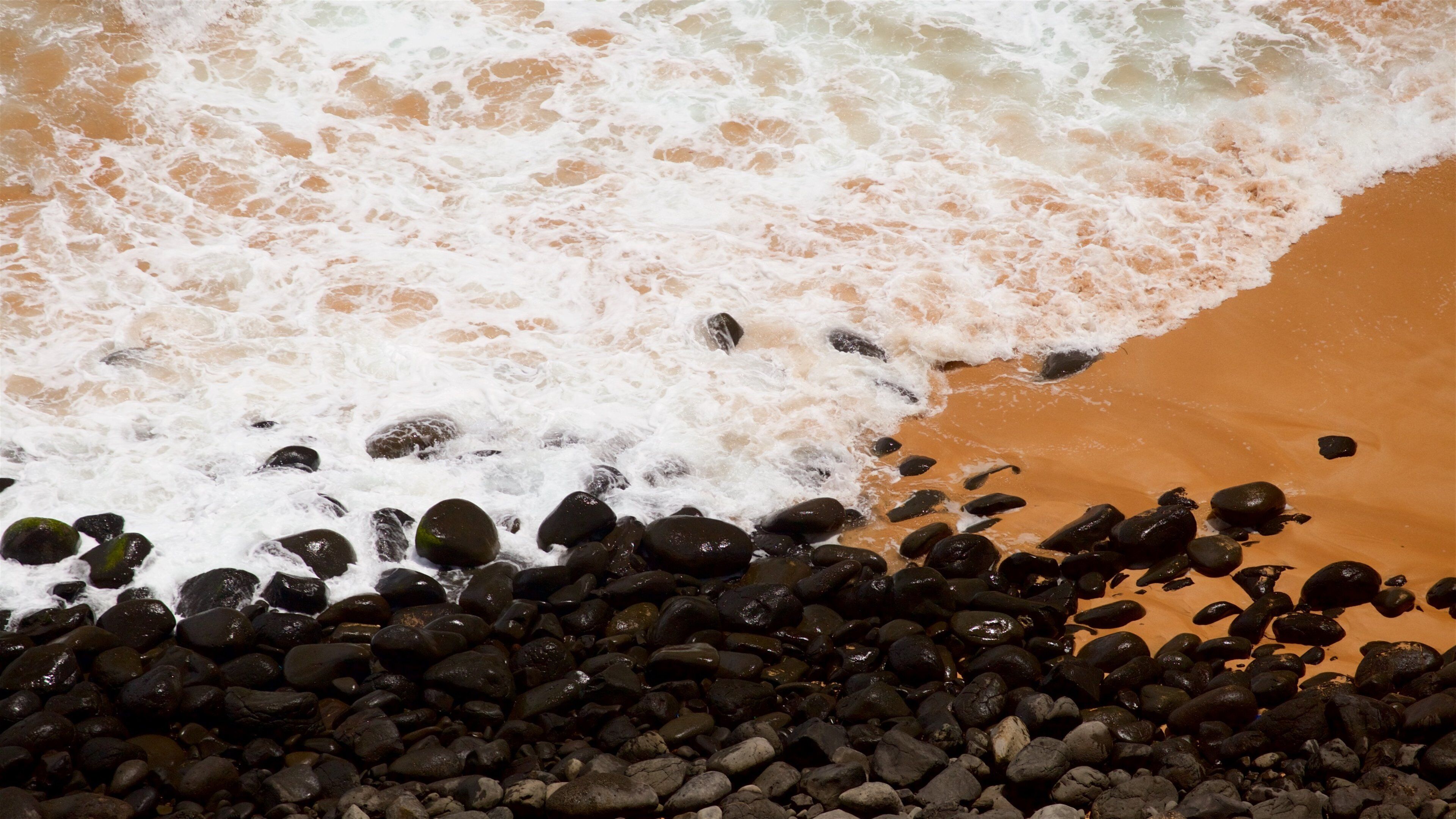 Anson Bay Beach showing general coastal views and a beach