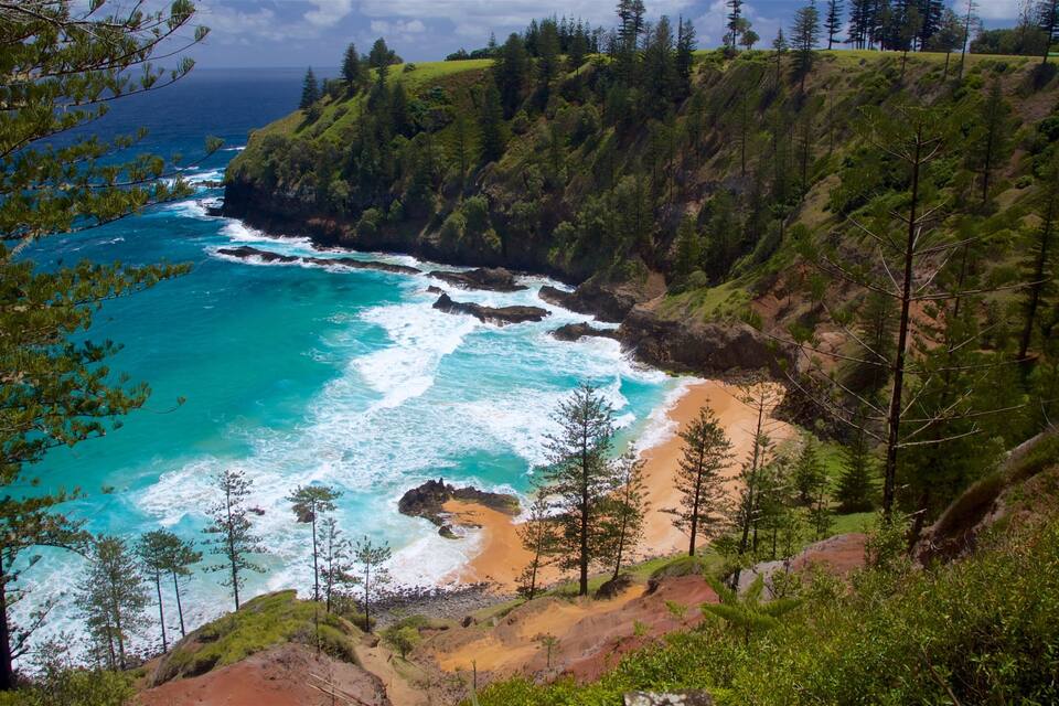 A coastal landscape with a beach, rocky cliffs, and dense forest.