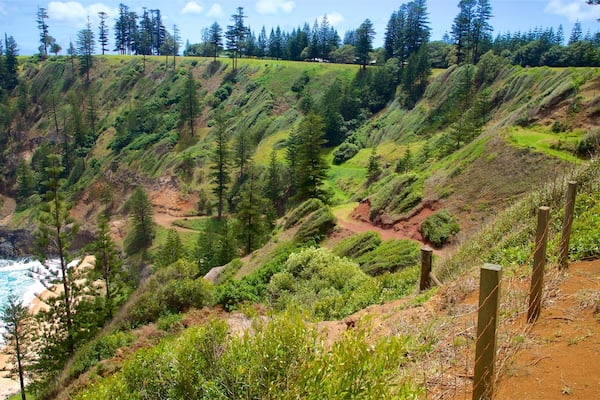 A coastal landscape with a steep cliff, dense forest, and a beach.