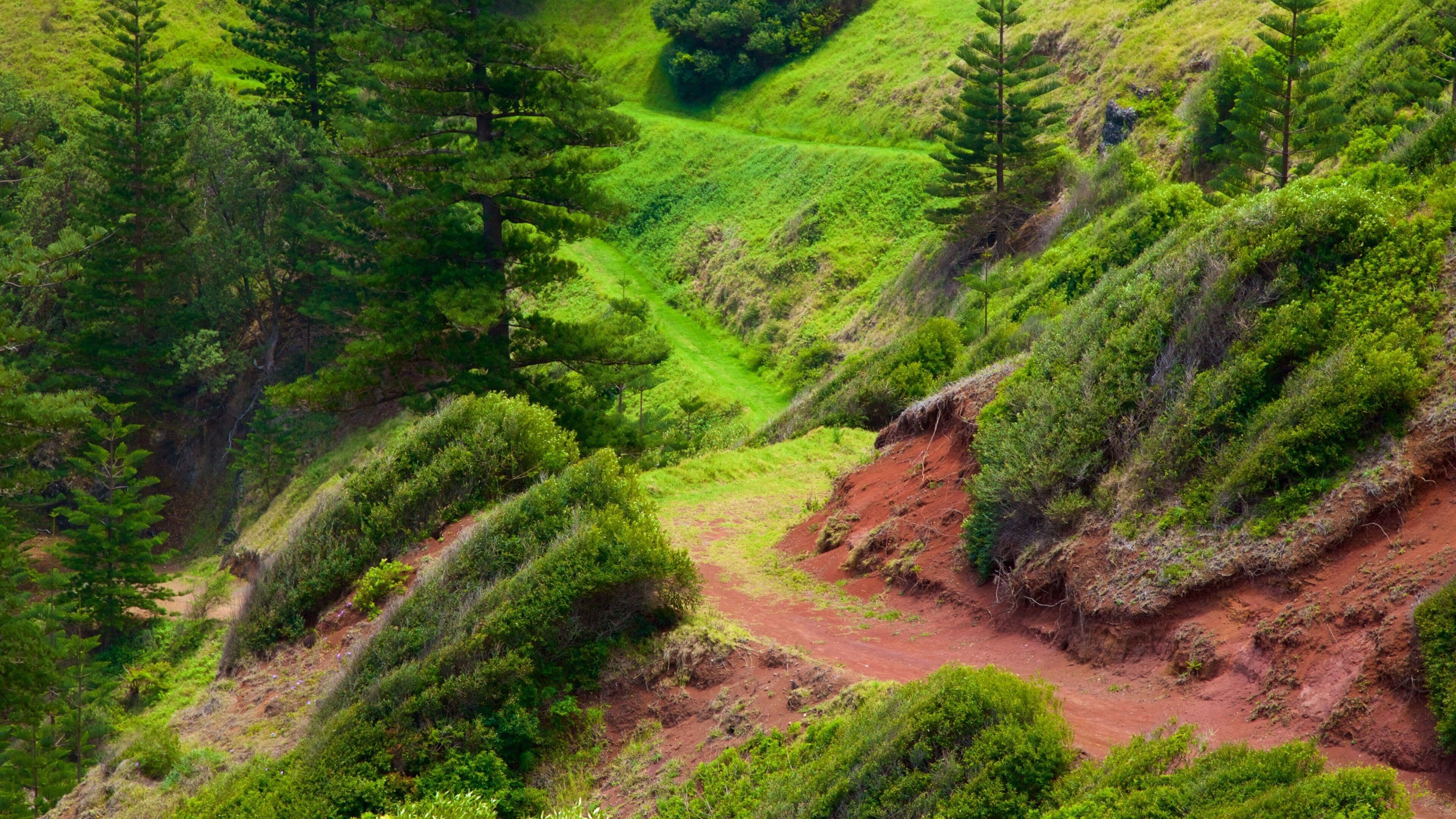 Anson Bay Beach fasiliteter samt rolig landskap