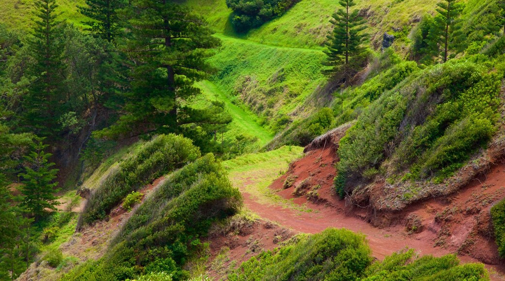 Anson Bay Beach fasiliteter samt rolig landskap