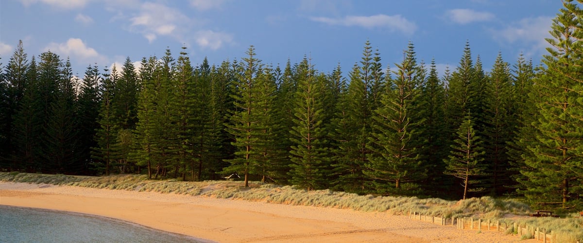 Emily Bay Beach das einen allgemeine Küstenansicht, Wälder und Strand