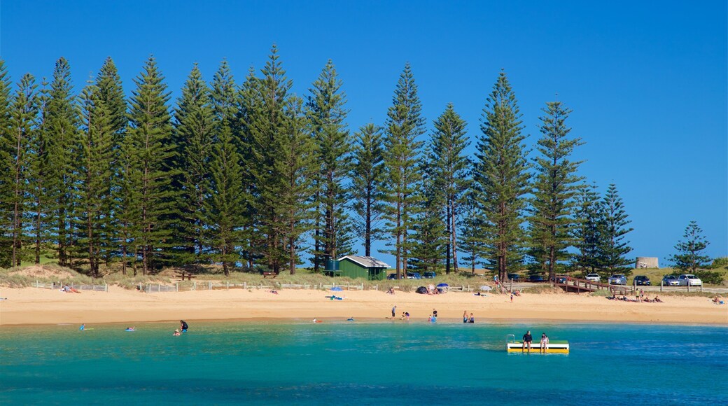 Emily Bay Beach which includes a beach and general coastal views