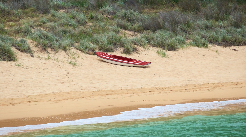 Emily Bay Beach som inkluderer sandstrand og kyst
