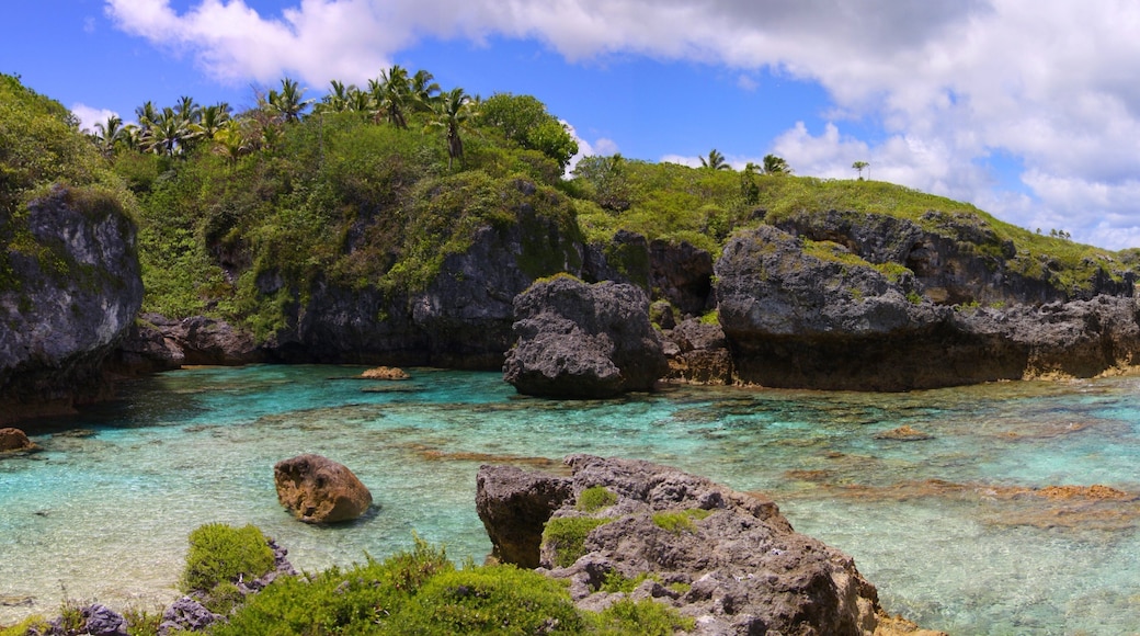 Limu which includes rugged coastline and colorful reefs
