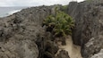 Togo Chasm featuring a gorge or canyon