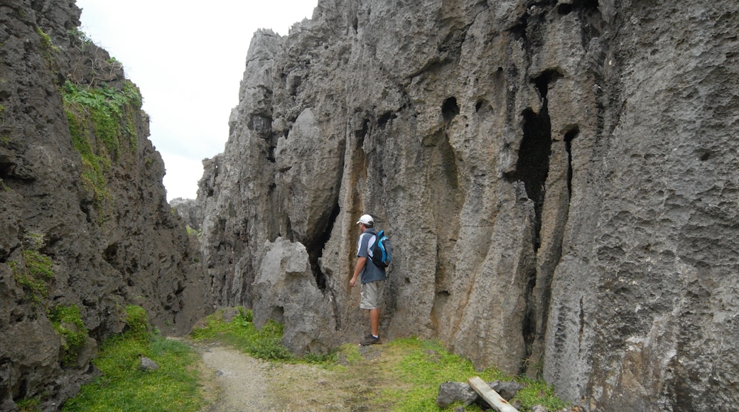 Togo Chasm showing a gorge or canyon and hiking or walking as well as an individual male