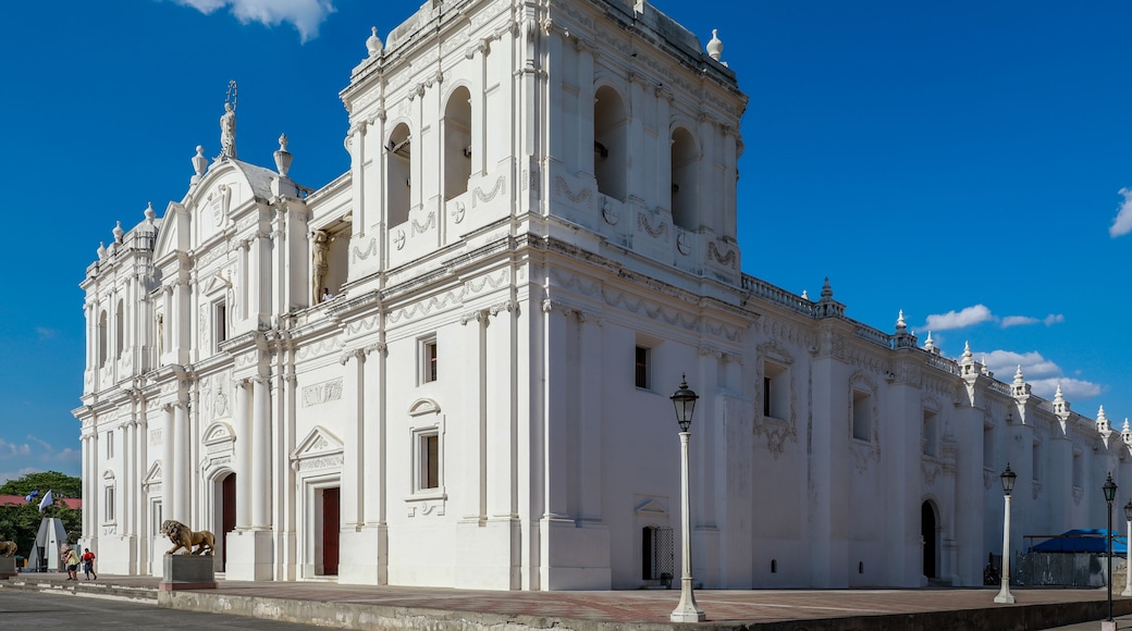 Departmentet León