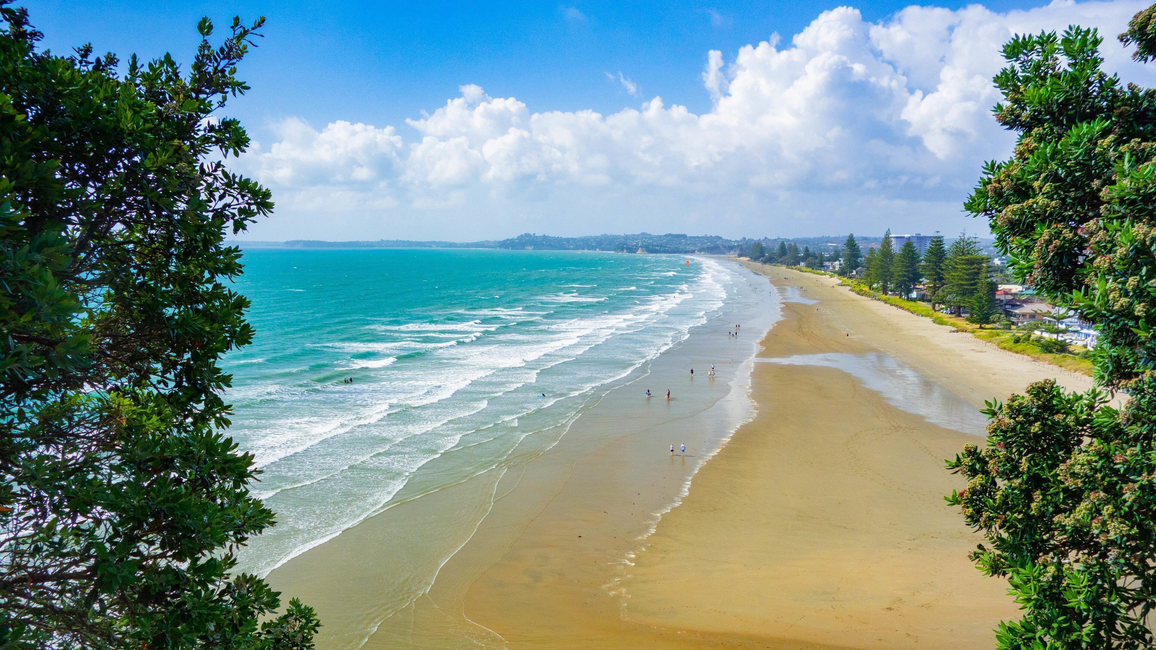 A beach with clear turquoise water, sandy shore, and lush greenery.