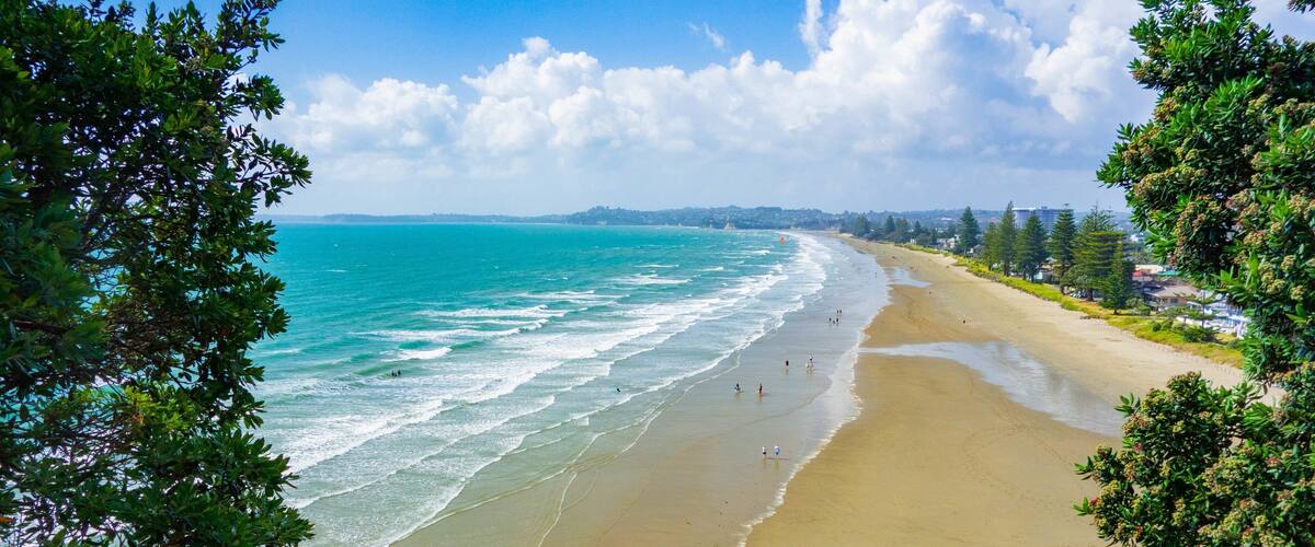 A beach with clear turquoise water, sandy shore, and lush greenery.
