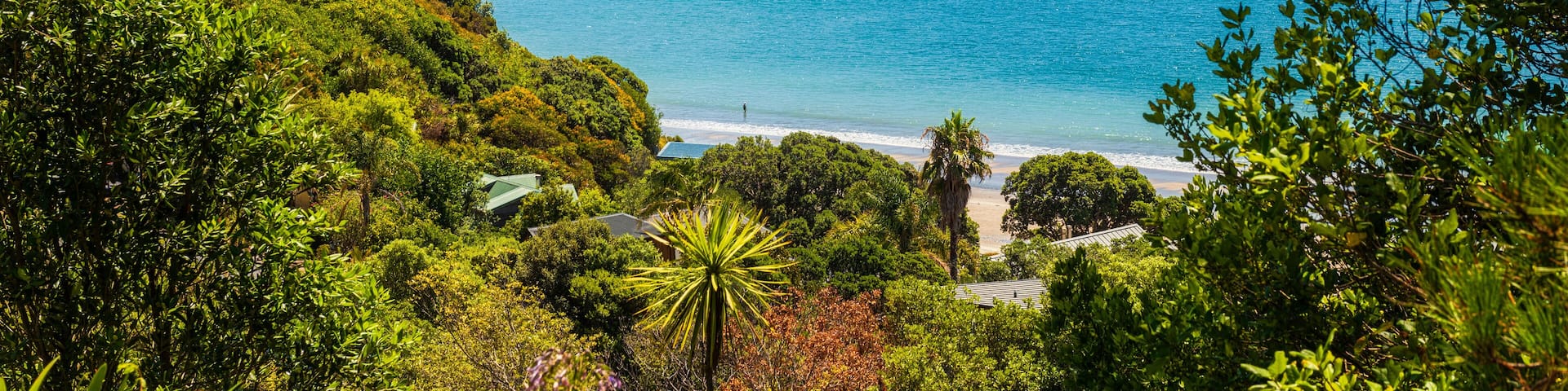 Onetangi Beach on Waiheke Island near Auckland in New Zealand