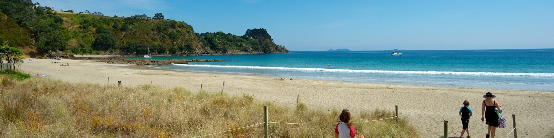 Palm Beach ofreciendo vista panorámica y una playa de arena y también niños