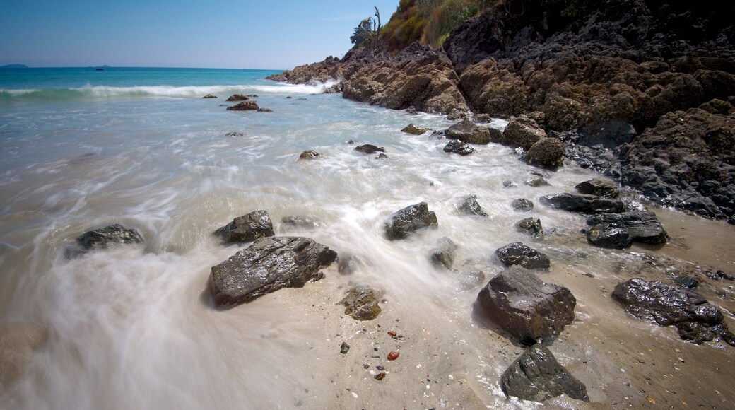 棕櫚海灘 呈现出 風景圖, 陡峭海岸線 和 海灘