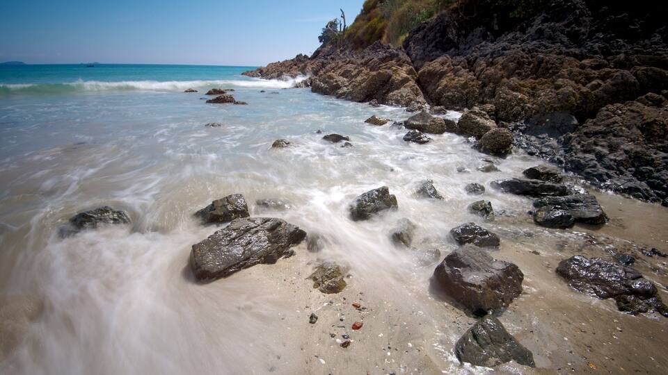 Palm Beach mostrando una playa de arena, litoral accidentado y vistas panorámicas