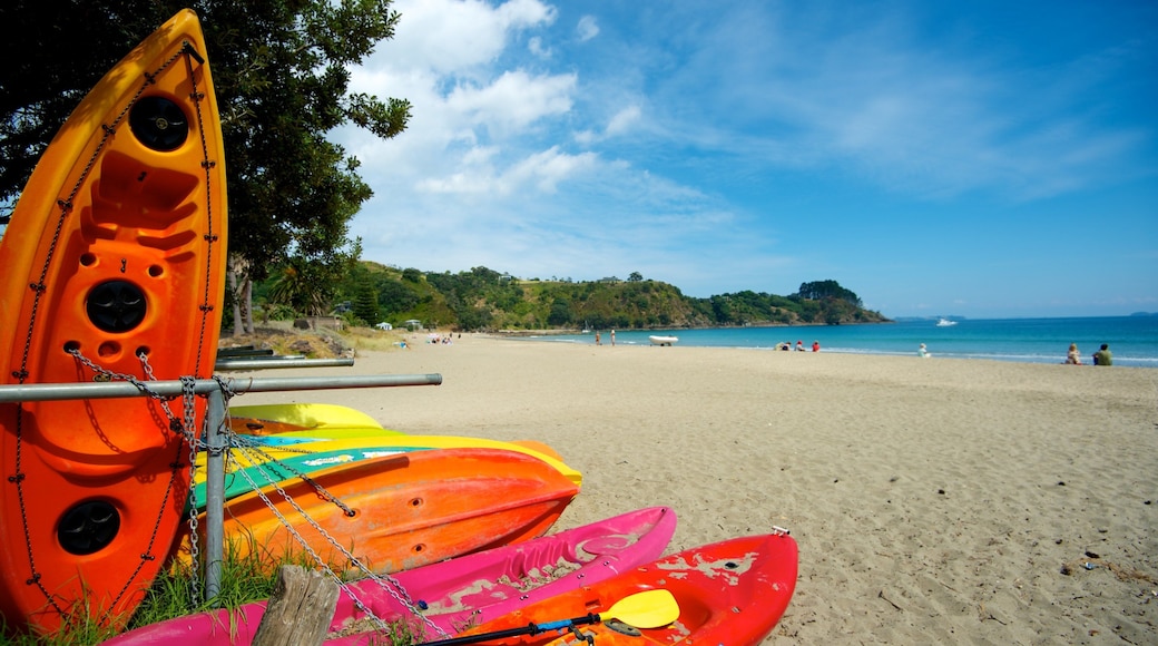 棕櫚海灘 其中包括 皮划艇或獨木舟, 熱帶景觀 和 一般的海岸景觀