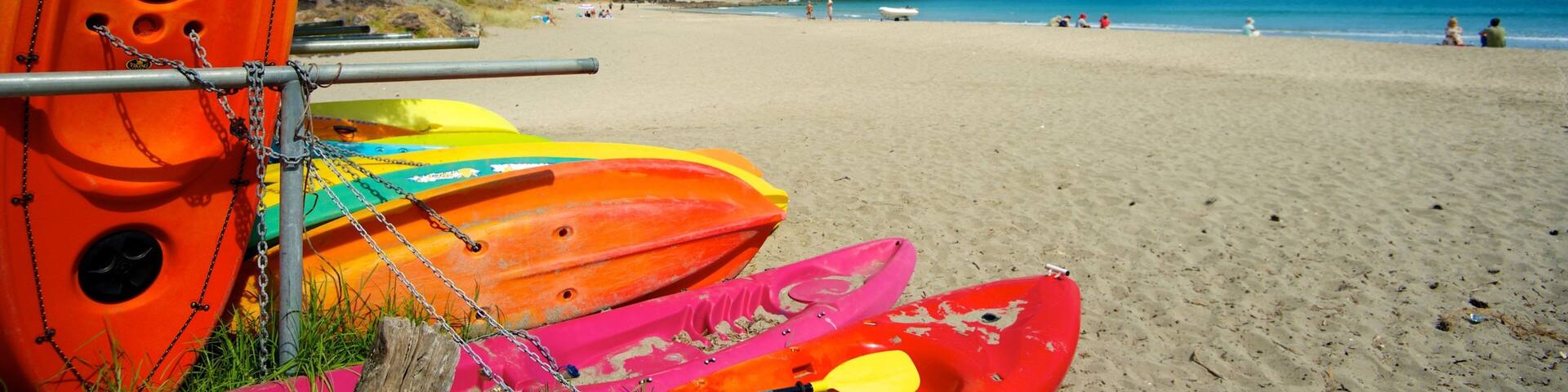 Palm Beach mettant en vedette scÚnes tropicales, kayak ou canoë et plage de sable