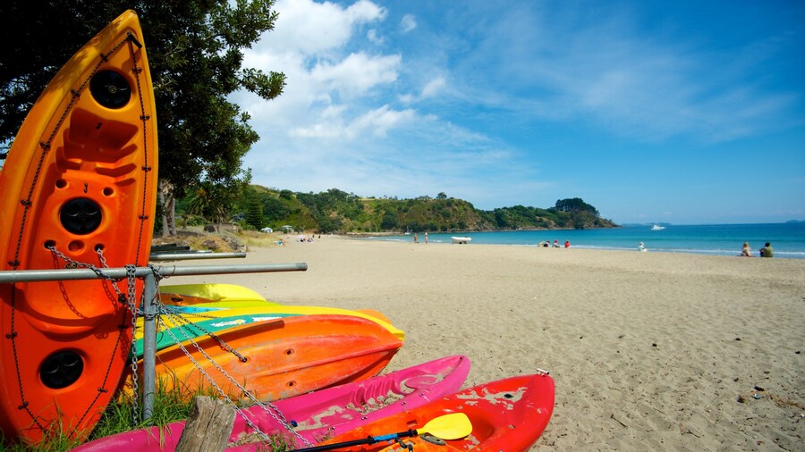 Palm Beach featuring a sandy beach, kayaking or canoeing and tropical scenes