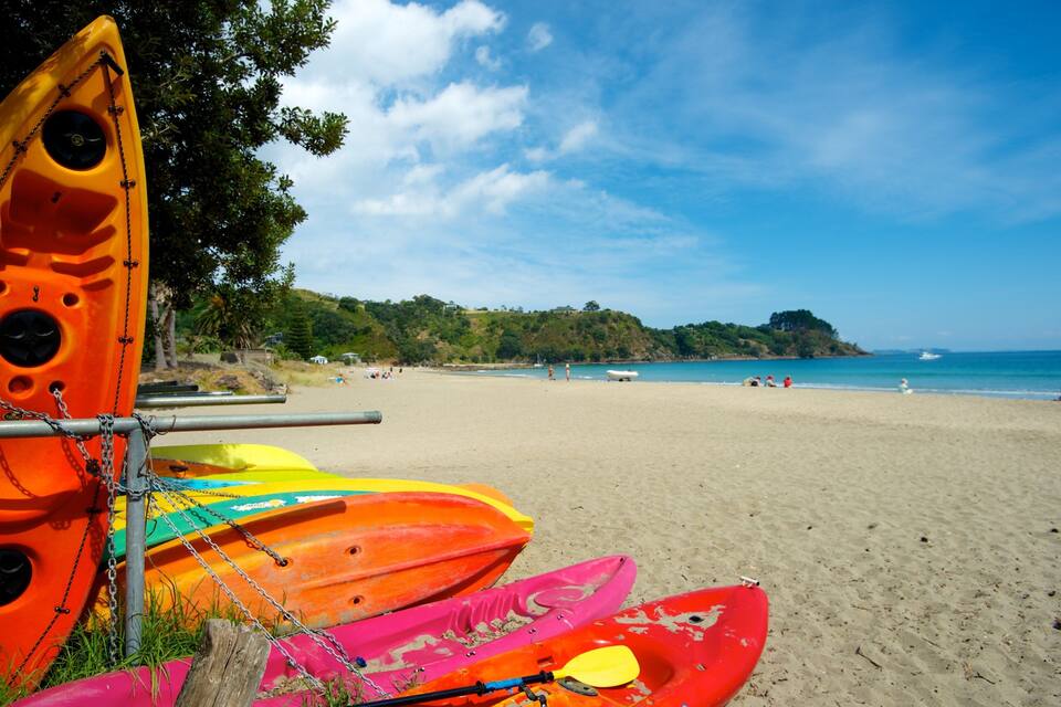 Colorful kayaks on a sandy beach with a clear sky and a distant island.
