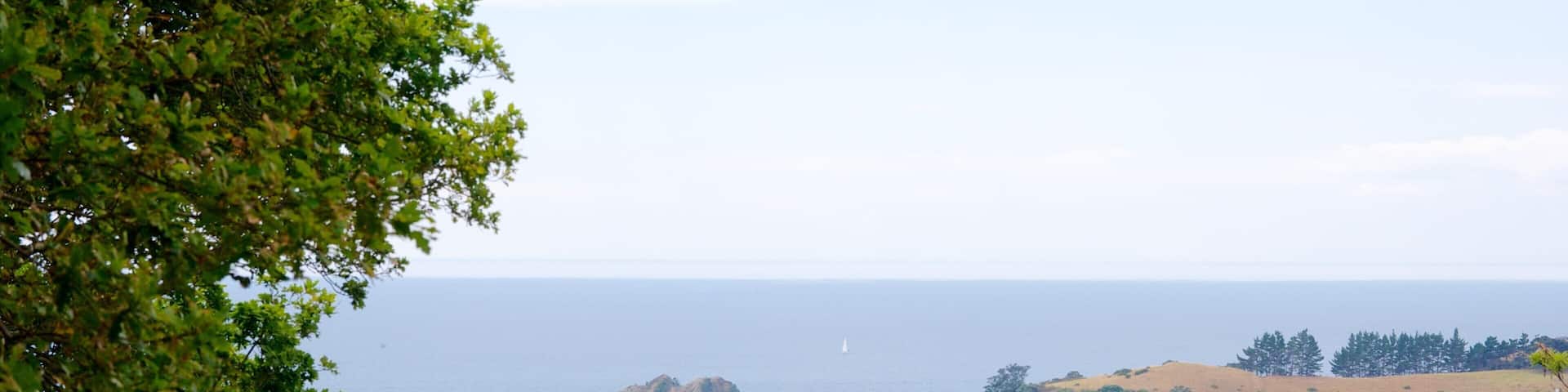 Palm Beach featuring a coastal town, landscape views and general coastal views