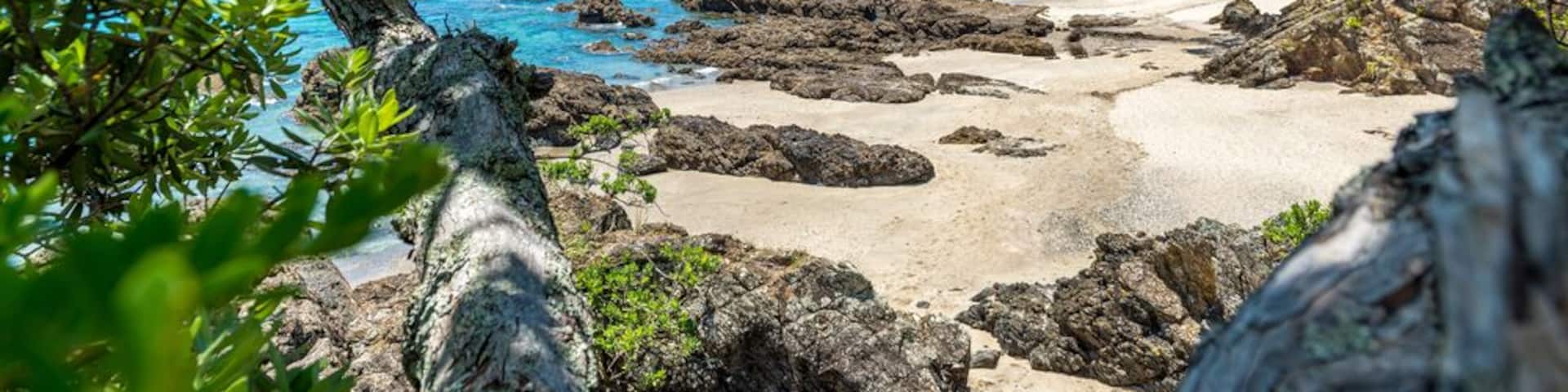 Palm Beach view, Waiheke Island - New Zealand; Shutterstock ID 172737050; PO: Hcom Destination Content neighborhoods; Client: Hotels.com; Other: Hcom brand budge