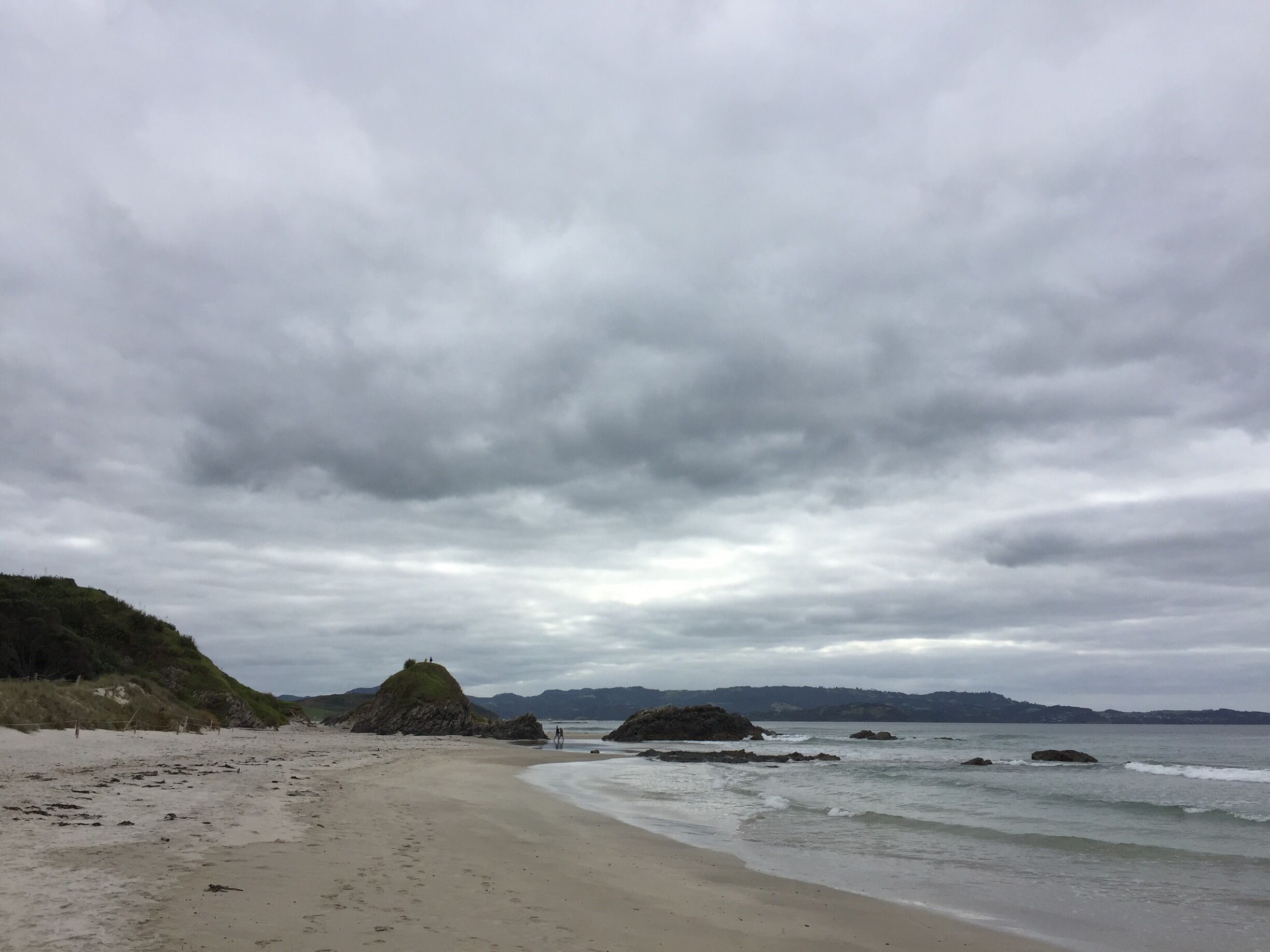 Try to spot kiwi, only if you come in the evening, if not. Great surf beach and beautiful drive