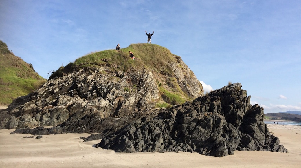 Beautiful spot - natural, peaceful. A real sanctuary for birds , animals & people!