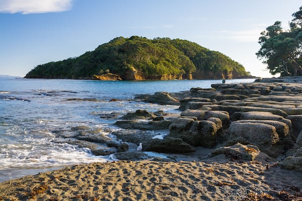 Goat Island Marine Reserve near Leigh North Island New Zeland, Shutterstock ID 165606623, Purchase Order: SP-1845, Order Number: SP-1845 ANZ-18140 WOTIF INSIDER BLOG, Client/Licensee: Wotif, Other: Ma