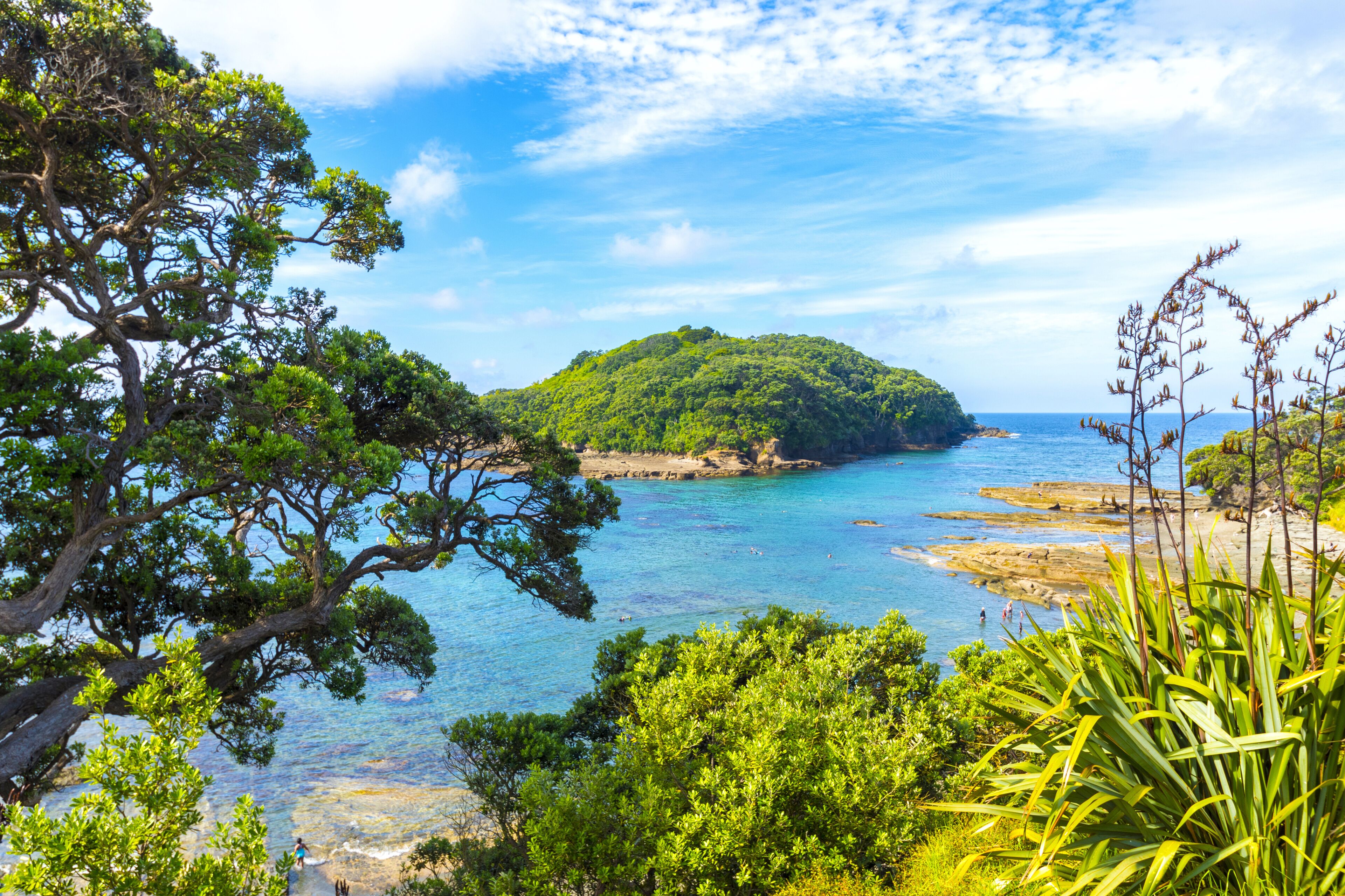 Panoramic View of Goat Island Beach, Leigh Auckland New Zealand; Marine Reserve