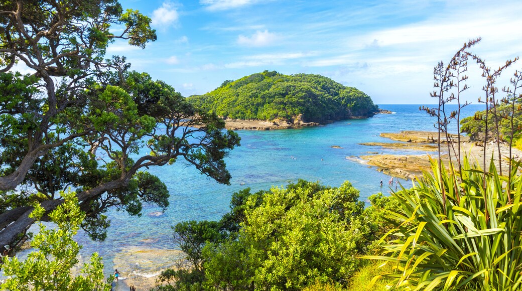 Goat Island