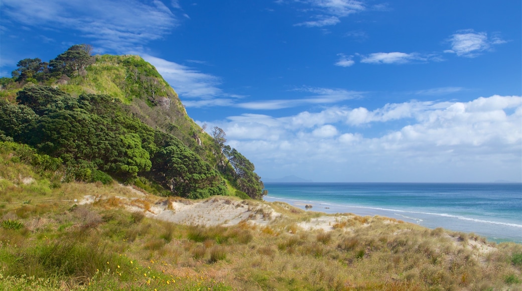 マンガファイ ヘッズ ビーチ フィーチャー 海岸線の眺め と 砂浜