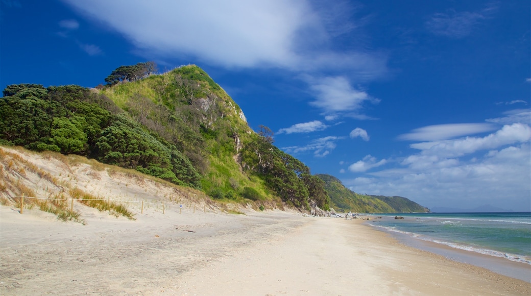マンガファイ ヘッズ ビーチ フィーチャー 砂浜 と 海岸線の眺め