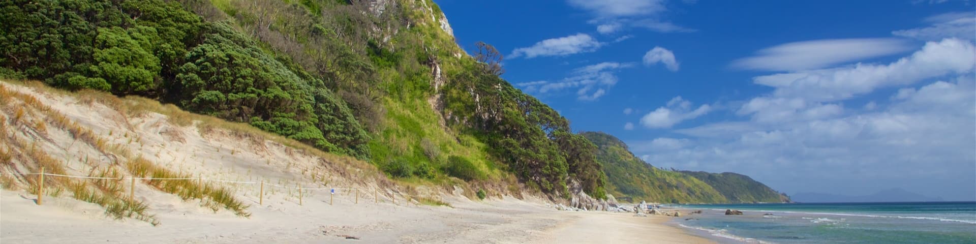 Mangawhai Heads Beach featuring general coastal views and a sandy beach