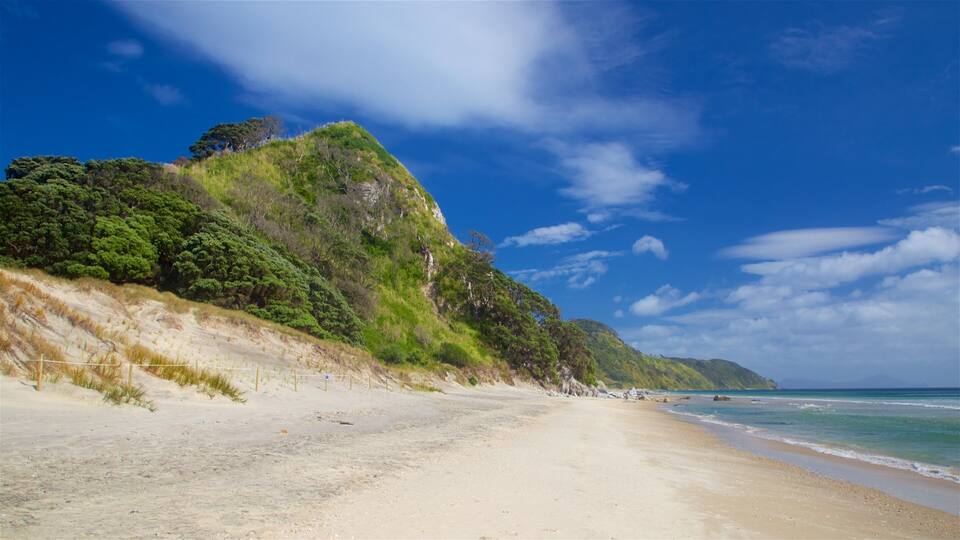A sandy beach with a forested hill and ocean.