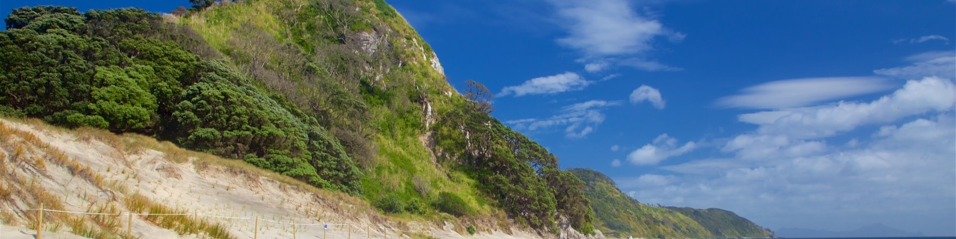 Mangawhai Heads Beach featuring a sandy beach and general coastal views