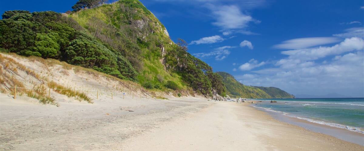A sandy beach with a forested hill and ocean.
