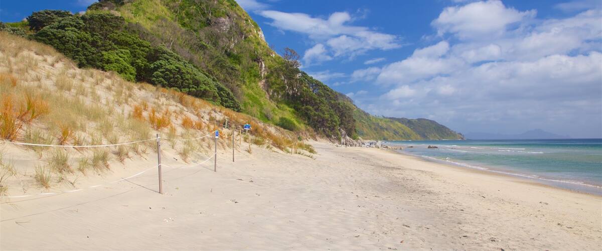 Mangawhai Heads Beach featuring general coastal views and a beach