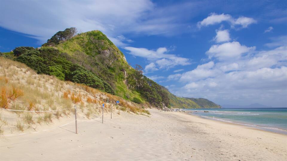 A beach with a sandy shore, a grassy dune, and a forested hill in the background.