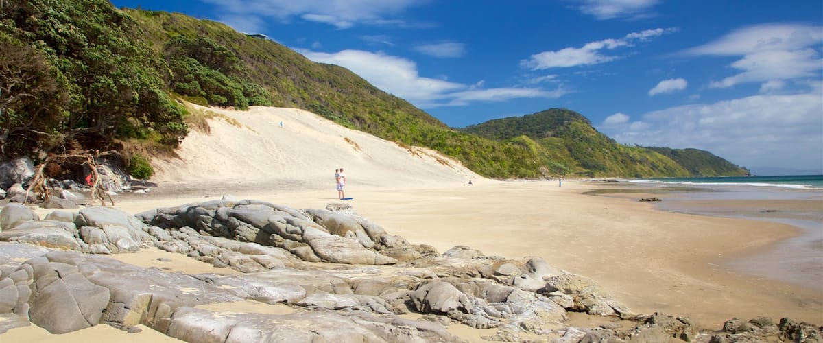 Mangawhai Heads Beach which includes a sandy beach and general coastal views
